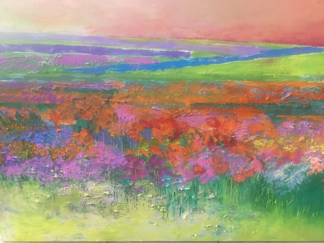 Łąka letnią porą